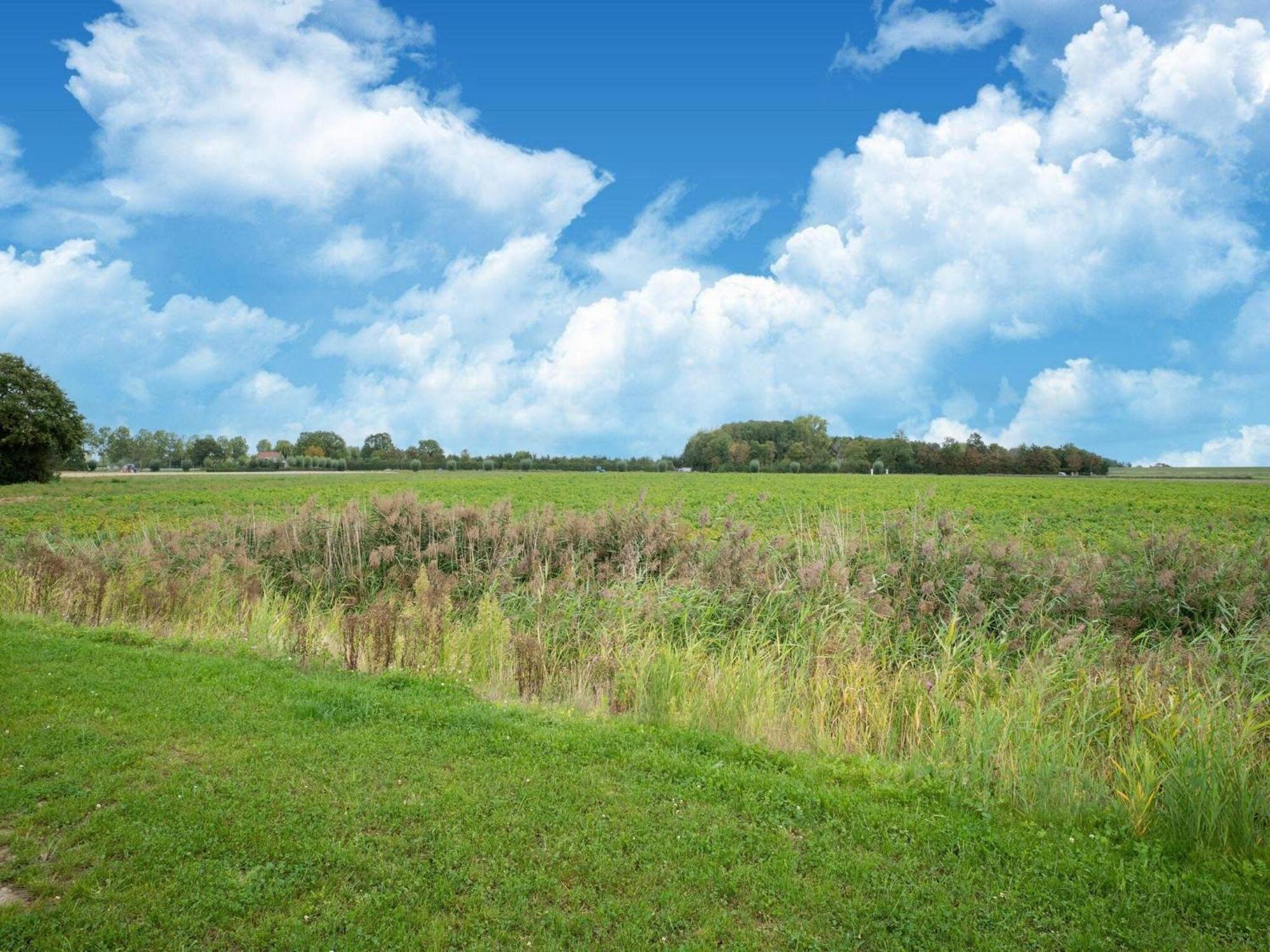 Holiday Home In Scherpenisse Exteriér fotografie